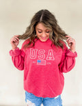 USA embroidered sweatshirt